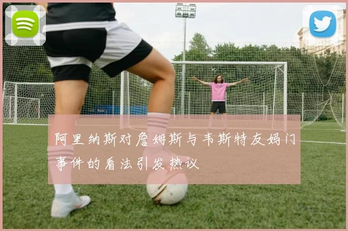 阿里纳斯对詹姆斯与韦斯特友妈门事件的看法引发热议