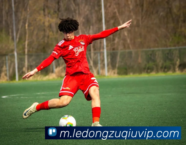 App Interface Preview