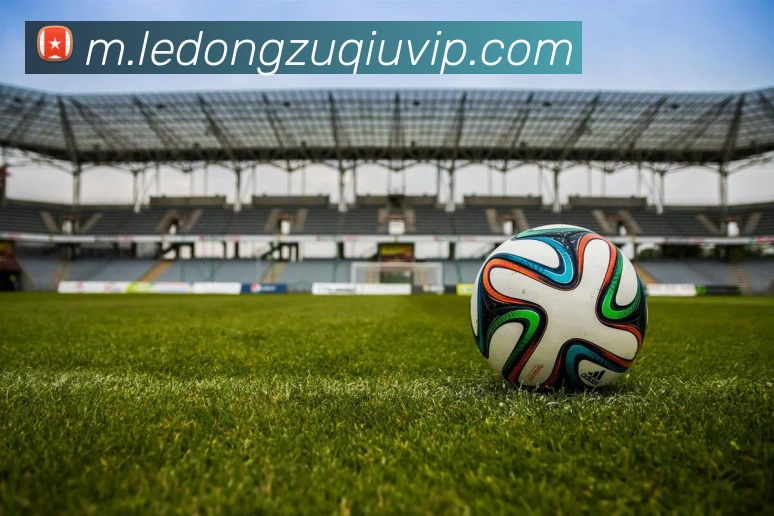 乐动体育APP 封面图